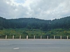-西江传说•酸汤鱼(水东路店)