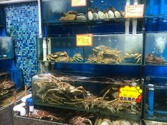 水产区-蚝专家(北滘店)