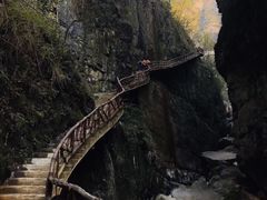 -鹿院坪生态旅游景区