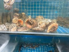 -宾朋海鲜饭庄(兴海路店)