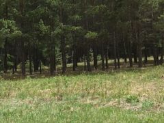 -塞罕坝国家级自然保护区