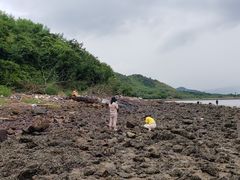 -坝光海滩