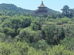 -磬锤峰森林公园