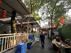 -食神又名厕所兔