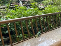 -南园酒家(前进路店)