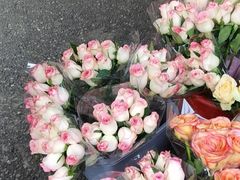 -循礼门鲜花花市(武汉循礼门店)