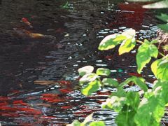 -水磨沟公园