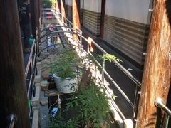 -唔呶喔哩酒家(生产街店)
