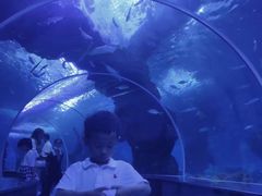 -多彩贵州城极地海洋世界