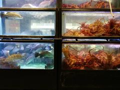 -金唐海鲜酒家