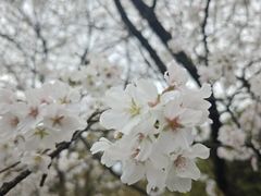 -南山植物园