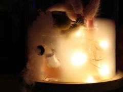 -奈雪的茶(国金中心店)