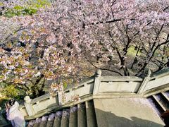 -苏州上方山国家森林公园
