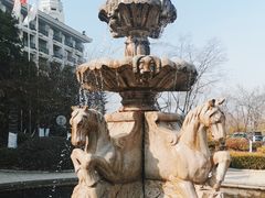 -随州碧桂园凤悦凤凰酒店