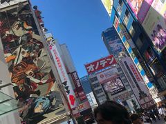 -秋叶原电器街
