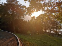 -福建鲤鱼洲酒店