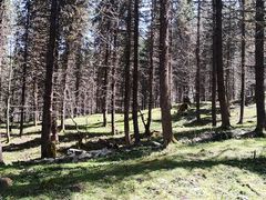 -硗碛藏寨·神木垒景区