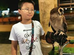 -清迈夜间动物园