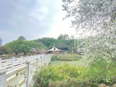 -南国桃园旅游度假区