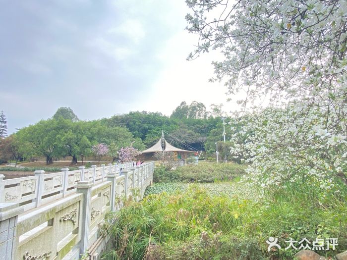 南国桃园旅游度假区图片