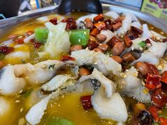 非主流酸菜鱼-Aqua Oasis 水天堂(石路天虹店)