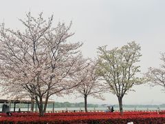 -石湖景区