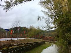 -红山村
