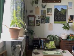 -百安居装修建材卖场(南山店)