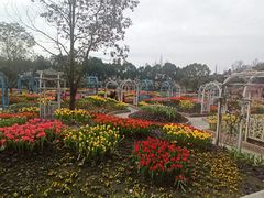 -都江堰玫瑰花溪谷