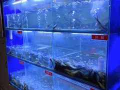 -石锅苗苗鱼(武汉首店)