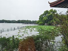 -湖畔居茶楼(湖滨店)