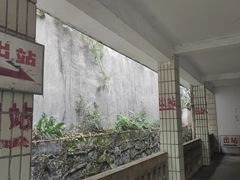 -黔灵山公园