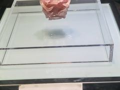 -镇江博物馆