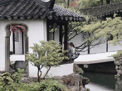-拙政园