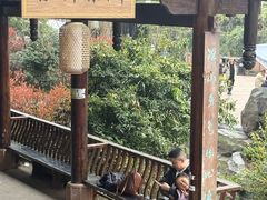 -雅安上里古镇