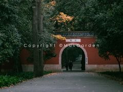 -灵谷景区