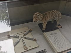 -北京动物园-畅观楼