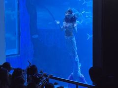 -太平洋海底世界