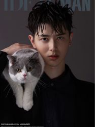 -贝勒爷专业男发