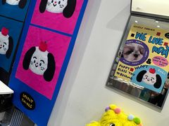 -萌物合辑(新中关购物中心店)