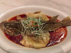 -桃花源中餐厅(金茂豪华精选酒店)