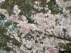 -杭州少年儿童公园