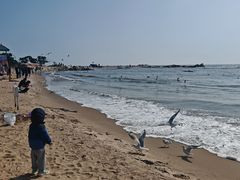 -老虎石海上公园