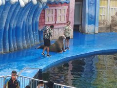 -华夏文旅海洋公园