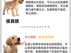 -翊宠yipet猫狗购宠庄园