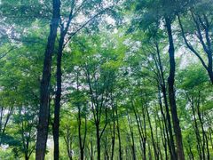-东郊湿地公园