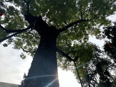 -保定直隶总督署博物馆