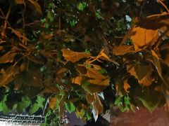 -老三烧烤(二环西路店)