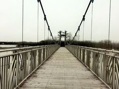 -西青郊野公园