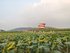 -光明小镇欢乐田园